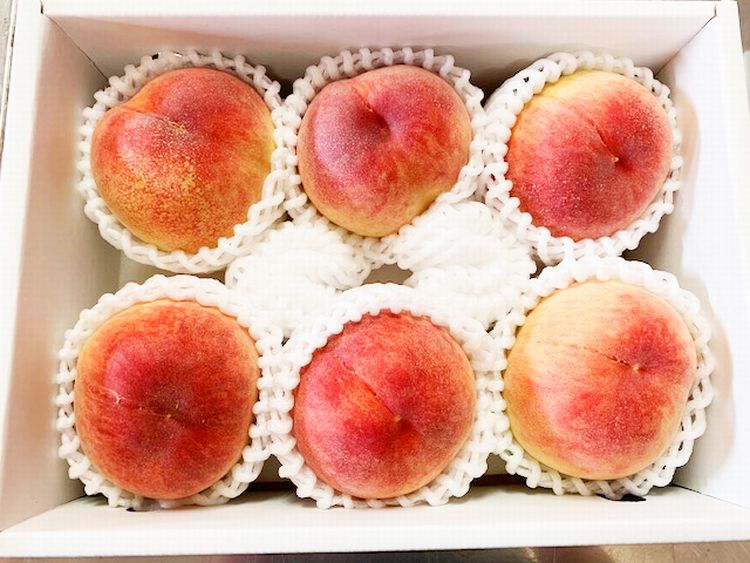 和歌山県太地町の画像3