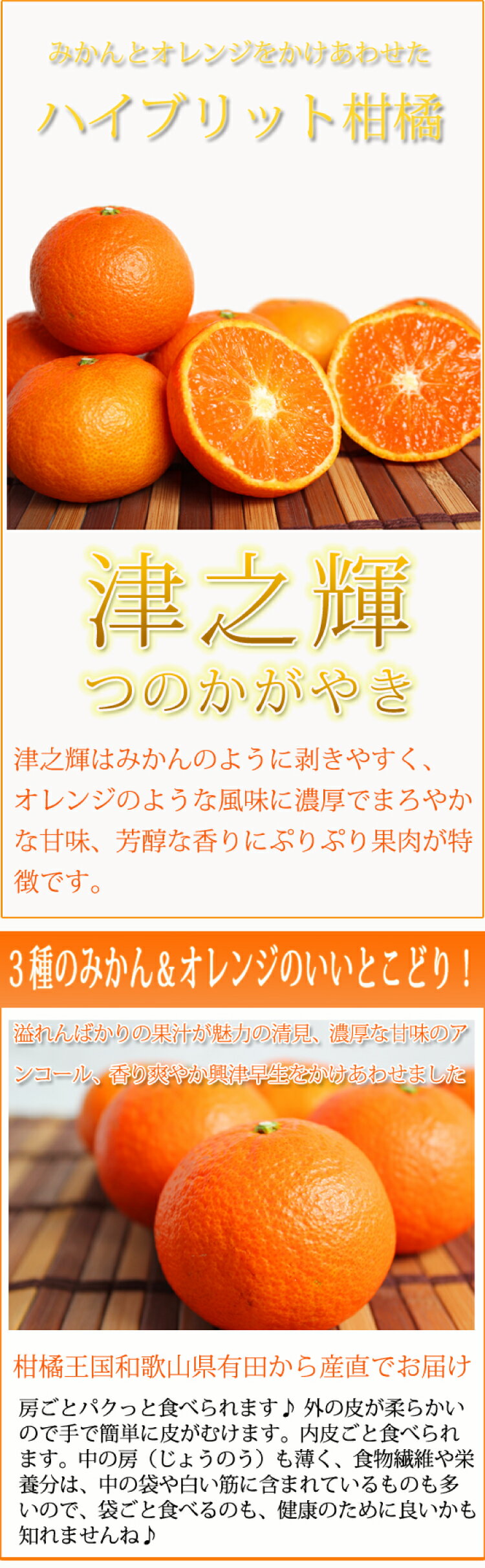 【ふるさと納税】津之輝(つのかがやき)　5kg【予約】※2025年2月上旬頃〜下旬頃に順次発送予定(お届け日指定不可)