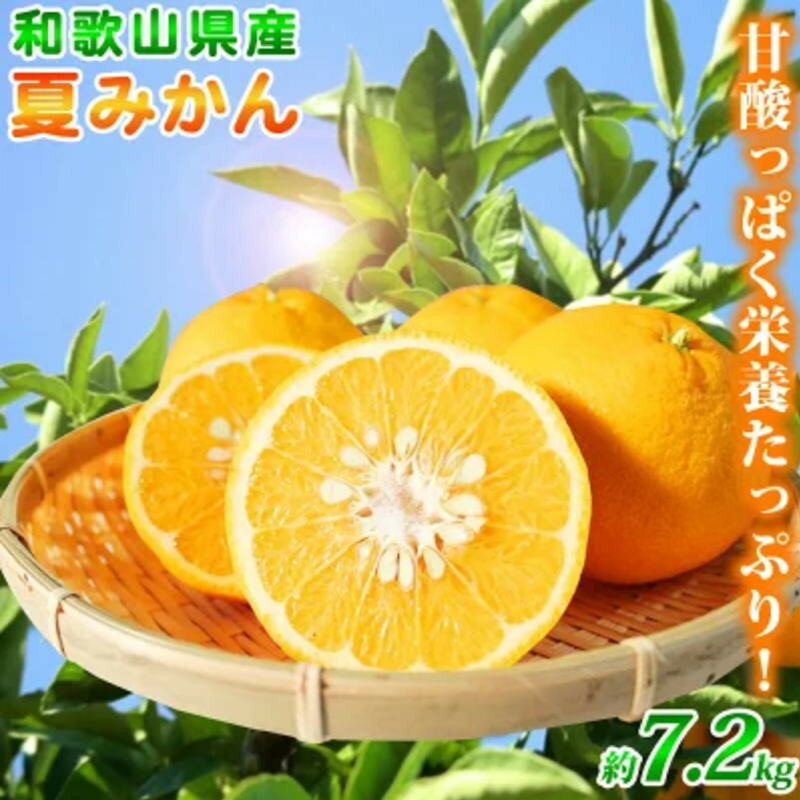 【ふるさと納税】 夏みかん 7.2kg ※2025年4月下旬頃に順次発送(お届け日指定不可)