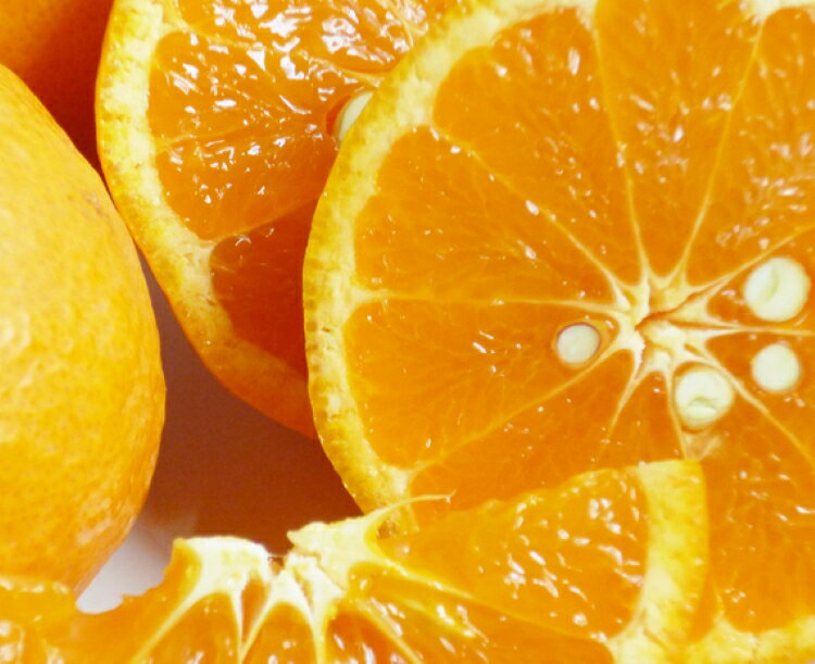 和歌山県太地町の画像2