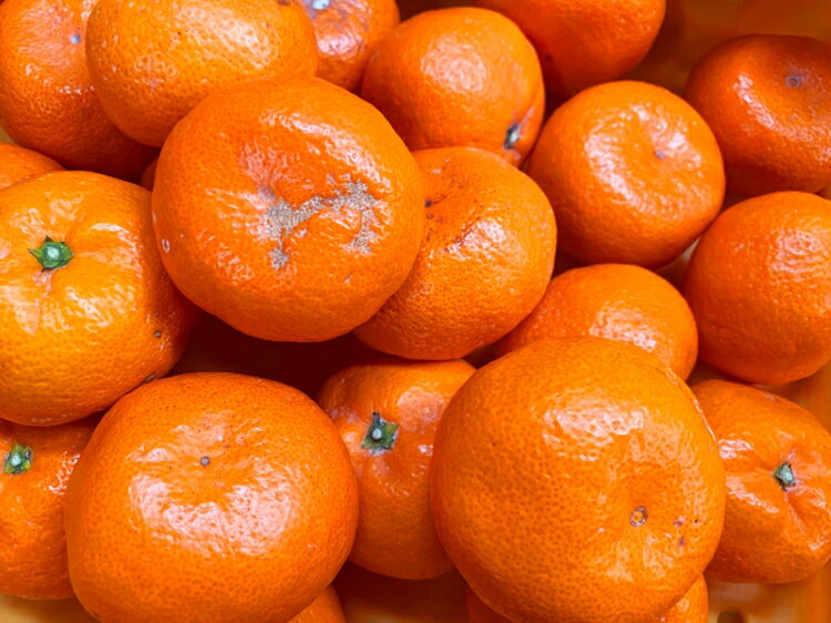 和歌山県太地町の画像3