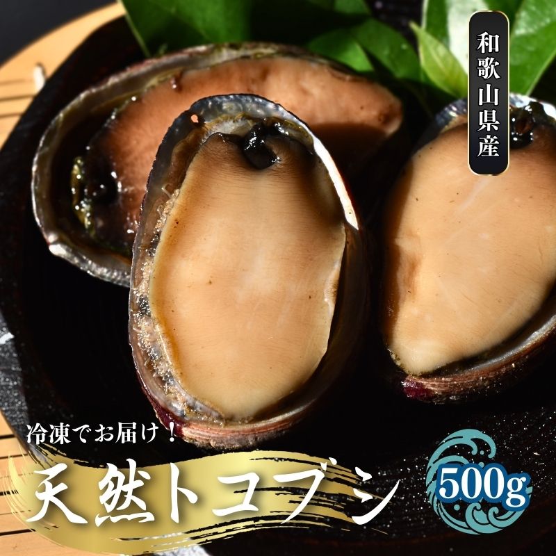 ＼数量限定/[和歌山県産] 天然トコブシ 500g (瞬間冷凍) /ながれこ とこぶし 冷凍 貝 おかず お手軽調理 バーベキュー 国産 瞬間冷凍