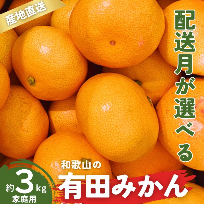 61位! 口コミ数「0件」評価「0」 ＼配送月が選べる！／ 訳あり 家庭用 有田みかん 和歌山 S～Lサイズ 大きさお任せ 3kg / みかん フルーツ 果物 くだもの 有田みかん 蜜柑 柑橘