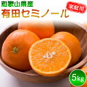 セミノール 家庭用 S～2Lサイズ 大きさお任せ 5kg/ みかん フルーツ 果物 くだもの 蜜柑 柑橘
