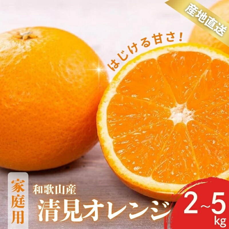 [先行予約]訳あり ご家庭用 きよみ 清見オレンジ 和歌山 有田 S〜2Lサイズ 大きさお任せ 2kg・3kg・5kg [2月中旬〜3月下旬頃に順次発送]/ みかん フルーツ 果物 くだもの 蜜柑 柑橘