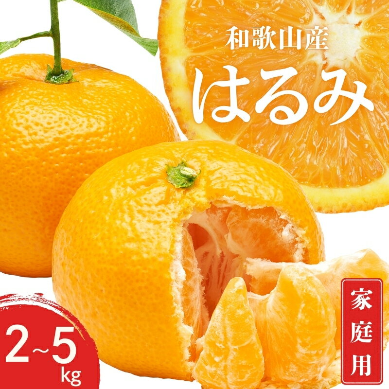 99位! 口コミ数「0件」評価「0」 【先行予約】 ご家庭用 はるみ 和歌山 有田 S〜3Lサイズ 2kg・3kg・5kg【1月下旬〜3月下旬までに順次発送予定】/ みかん フルーツ 果物 くだもの 蜜柑 柑橘