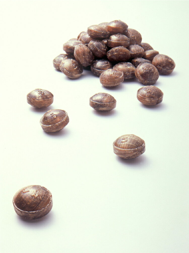 和歌山県太地町の画像2