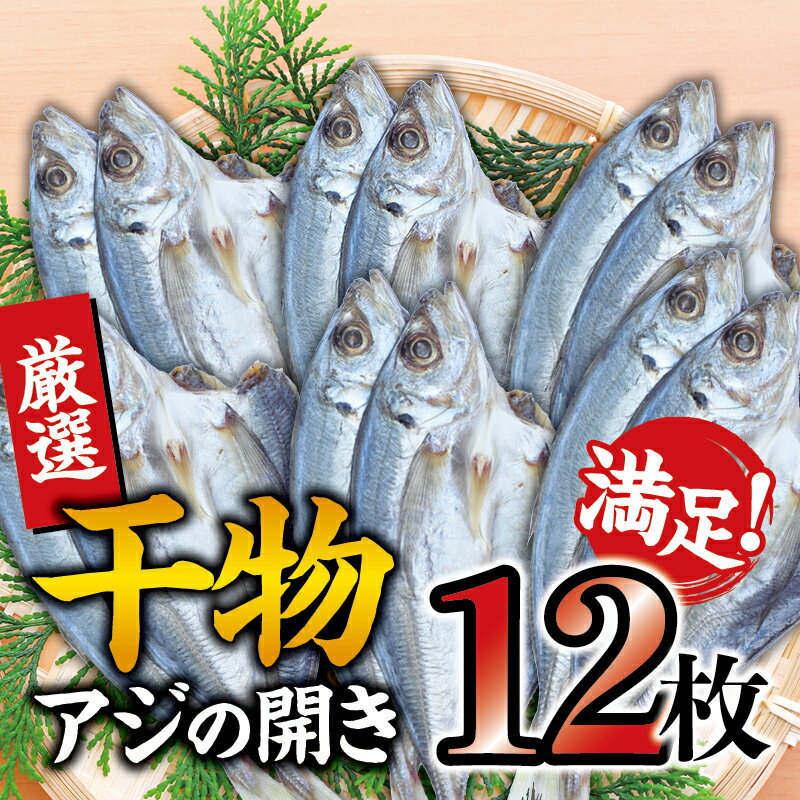 【ふるさと納税】干物セット 満足の内容量！アジの開き...