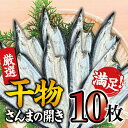 【ふるさと納税】干物セット 満足の内容量！さんまの開き10枚セット ／ひもの 詰め合わせ 干物 さんま サンマ 秋刀魚