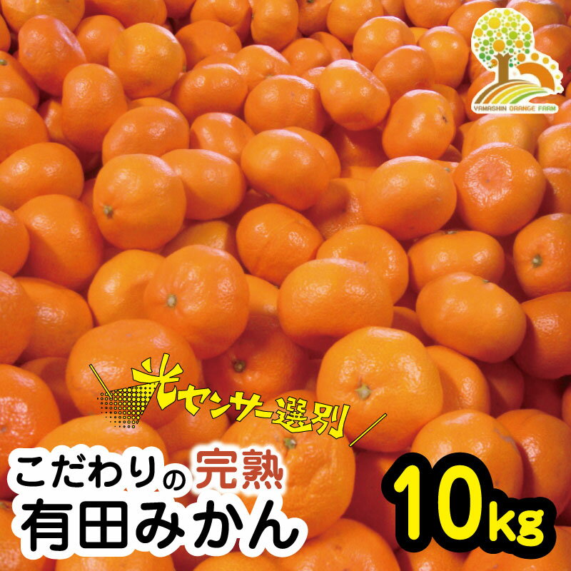 【ふるさと納税】＼光センサー選別／農家直送 こだわりの有田みかん 約10kg＋300g(傷み補償分) 発送時期 選べる【家庭用】【11月発送 12月発送 2025年1月発送から選べます】（日付指定不可） 有機質肥料100 みかん ミカン 甘い 温州みかん