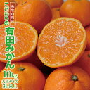 7位! 口コミ数「2件」評価「4.5」＼農家直送／有田みかん 大玉3L以上 約10kg 有機質肥料100%【2024年12月初旬～2025年1月中旬に順次発送(お届け日指定不可)･･･ 