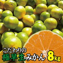 商品詳細 名称： 極早生みかん 内容量： 約8kg 賞味期限： 出荷日より7日 保存方法： 直射日光の当たらない、風通しの良い冷暗所で保存。 配送温度帯： 常温 製造者もしくは販売者 やましんオレンジ農園 提供 やましんオレンジ農園 返礼品発送元 やましんオレンジ農園 注意事項： ・到着後すぐ箱から全部取り出し、傷んでいるものやカビが生えているものがないか確認してください。 ・返礼品の内容に問題がある場合はお届けから3日以内にご連絡ください。 ・保管はフタを開けて、できるだけ風通しのよい冷暗所で保存してください。 【2024年秋頃発送予約分】 極早生みかんは、通常のみかんの中でも早い時期に収穫され、見た目が緑と黄色が混ざっているのが特徴。 身はみずみずしく、酸味の中に甘みもしっかりあります！ ご予約順に9月下旬より順次発送させていただきます。 当園自慢の極早生みかん特有の風味と酸味をお楽しみください。 天然の有機質肥料100%のみを使用！ 魚粉・カニ柄・油粕・骨紛といった有機肥料を主に使用し、甘みとコクのある柑橘を追求しております。 化学肥料は一切使用していません。 水分量を調整しギュっと甘みを引き出します。 生産者直送だから出来るもぎたて鮮度！ ノーワックス・防腐剤不使用。 安心して召し上がっていただけるようワックス処理や防腐剤の使用は致しません。 家庭用にもピッタリのたっぷり満足サイズとなります。 ※誠に申し訳ございませんが、北海道・沖縄・離島へのお礼品の配送はお受けできません。 こちらは和歌山県広川町と太地町の共通返礼品です。 ・ふるさと納税よくある質問は こちら ・寄附申込みのキャンセル、返礼品の変更・返品はできません。あらかじめご了承ください。【注文内容確認画面の「注文者情報」を寄附者の住民票情報とみなします】 ・必ず氏名・住所が住民票情報と一致するかご確認ください。 ・受領書は住民票の住所に送られます。 ・返礼品を住民票と異なる住所に送付したい場合、注文内容確認画面の「送付先」に返礼品の送付先をご入力ください。 ※「注文者情報」は楽天会員登録情報が表示されますが、正確に反映されているかご自身でご確認ください。