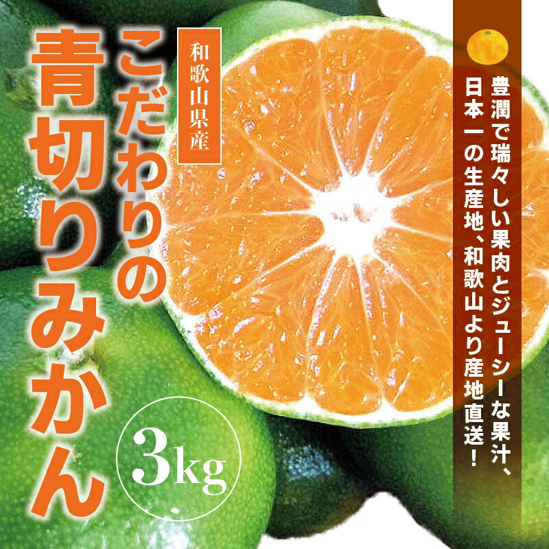 15位! 口コミ数「0件」評価「0」 ＼光センサー選別／こだわりの青切りみかん 約3kg 先行予約 有機質肥料100% 【2024年9月下旬より順次発送（日付指定不可）】