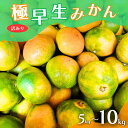 【ふるさと納税】 《 額田農園限定レビューキャンペーン対象 》\光センサー選別/農家直送 こだわりの極早生みかん 約5kg~10kg 数量限定 有機質肥料100% サイズ混合 ※2025年10月上旬~11月上旬頃に順次発送予定(お届け日指定不可) 有田産 有田 みかん