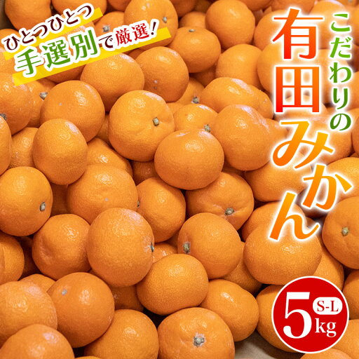 【ふるさと納税】 こだわりの和歌山県産 有田みかん 5kg(S〜Lサイズおまかせ) ひとつひとつ手選別で厳選!生産者から直送 【2025年11月下旬~1月中旬ごろに順次発送予定】 | みかん フルーツ 果物 くだもの 有田みかん 蜜柑 柑橘【hdm005】 【ふるさと納税】 こだわりの和歌山県産 有田みかん 5kg(S〜Lサイズおまかせ) ひとつひとつ手選別で厳選!生産者から直送 【2025年11月下旬~1月中旬ごろに順次発送予定】 | みかん フルーツ 果物 くだもの 有田みかん 蜜柑 柑橘【hdm005】