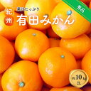 【ふるさと納税】 紀州 有田みかん 秀品 10kg(2Lサイズ) 温州みかん ミカン 蜜柑 柑橘 フルーツ ※2025年11月下旬~2026年1月中旬頃順次発送予定
