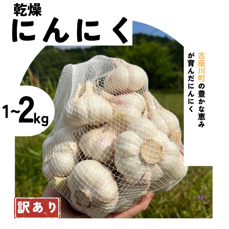 【ふるさと納税】秘境の地からお届けする あゆみファームの乾燥にんにく【訳あり】1kg 【予約受付：2024年7月上旬ごろから順次発送】／ニンニク ご家庭用 訳あり 乾燥にんにく にんにく 乾燥ニンニク 和歌山県