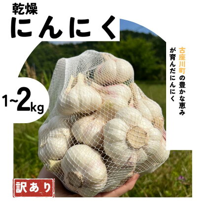 秘境の地からお届けする あゆみファームの乾燥にんにく【訳あり】1kg 【予約受付：2024年7月上旬ごろから順次発送】／ニンニク ご家庭用 訳あり 乾燥にんにく にんにく 乾燥ニンニク 和歌山県