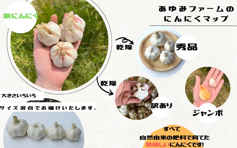 【ふるさと納税】秘境の地からお届けする あゆみファームの新にんにく 1～2kg【2024年5月下旬から順次発送】/ 新にんにく 生にんにく にんにく ニンニク 予約受付 ガーリック 和歌山