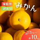 【ふるさと納税】 訳あり&家庭用 みかん / 手選別 温州みかん 和歌山 甘い 【選べる容量】約1.5kg・4.5kg・6kg・8kg・10kg ※2025年11月上旬~2026年2月中旬ごろに順次発送
