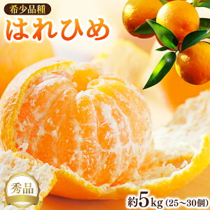 【ふるさと納税】 【来シーズン先行予約】希少種みかん はれひめ 約5kg(25個~30個) 秀品 2025年12月中旬〜2026年2月初旬頃に順次発送予定(お届け日指定不可)/ 和歌山 みかん はれひめ フルーツ 柑橘 蜜柑 果物 くだもの デザート おやつ 古座川町