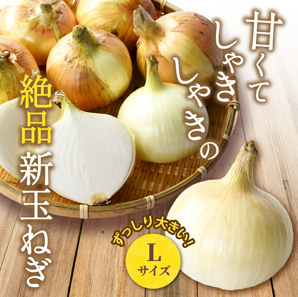 【ふるさと納税】 和歌山県産新玉ねぎ約10kg　Lサイズ 約25個入り　こだわり農家厳選！【2026年4月末頃〜6月中旬に発送予定】人気 おすすめ たまねぎ 玉ねぎ 玉葱 タマネギ オニオン スープ サラダ 国産 野菜 新鮮 ビッグサイズ 大きい BBQ【kgr033】