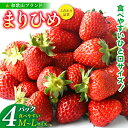 【ふるさと納税】【先行予約】まりひめイチゴ4パック 食べやすいひと口サイズ M〜L(15粒〜20粒入×4パック)【2026年1月初旬〜3月下旬頃に順次発送】(お届け日指定不可)/ いちご 苺 まりひめ 和歌山 フルーツ 果物 くだもの