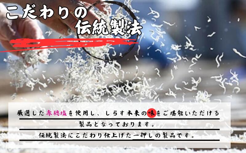【ふるさと納税】 しらす 釜揚げしらす 冷凍 500g 700g 1kg（100g/パック）小分け で便利｜シラス 厳選 小分け 冷凍便※離島への配送不可