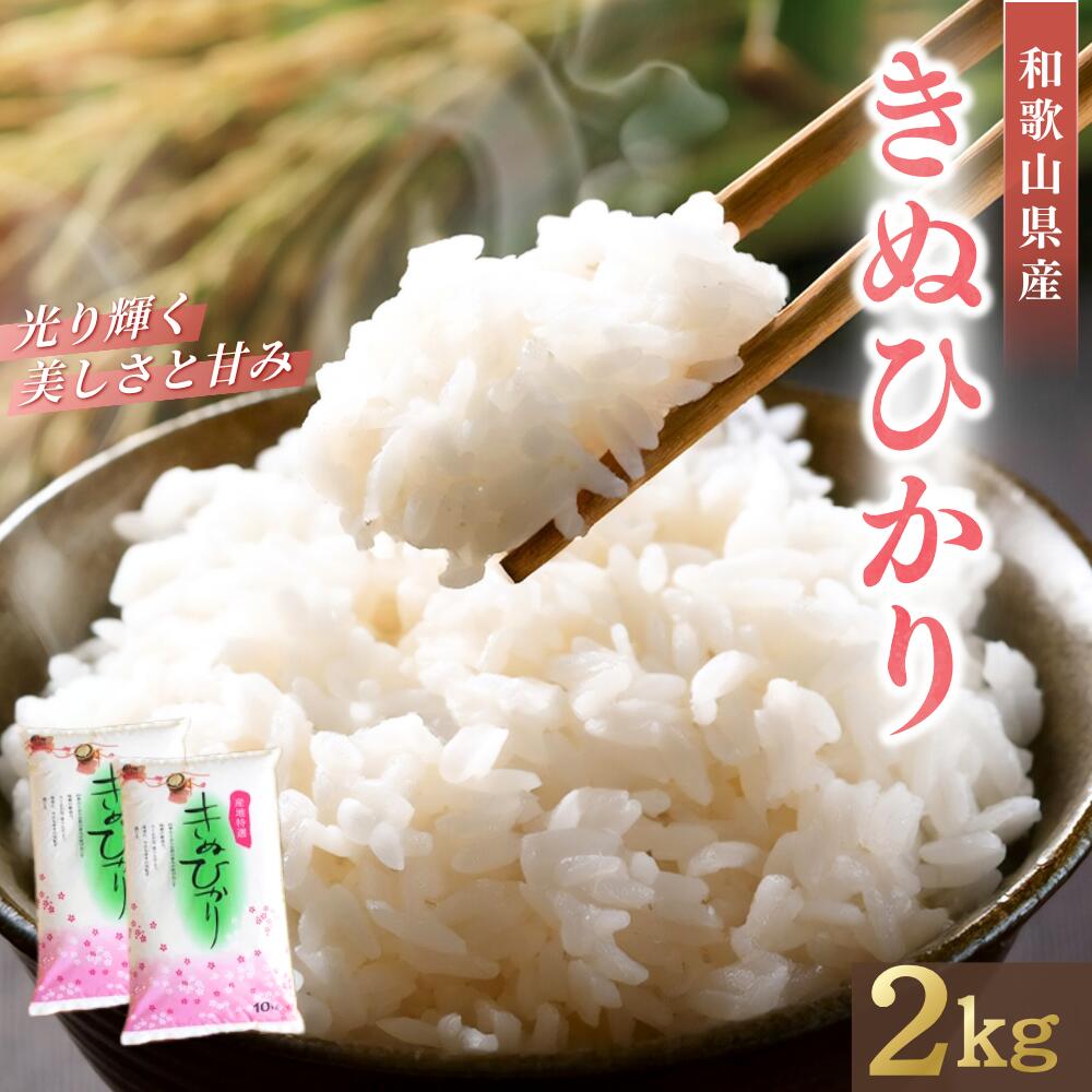 和歌山県産 キヌヒカリ 2kg(2025年産) / お米 きぬひかり 白米 令和7年 人気 おすすめ ※2025年9月中旬より順次発送予定