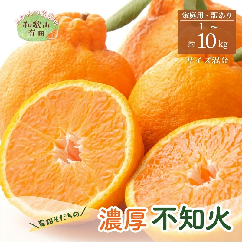 【ふるさと納税】 有田育ちの濃厚不知火(ご家庭用)(通称デコポン) 約1kg 約2.5kg 約5kg 約10kg ※2025年1月下旬〜4月下旬順次発送予定