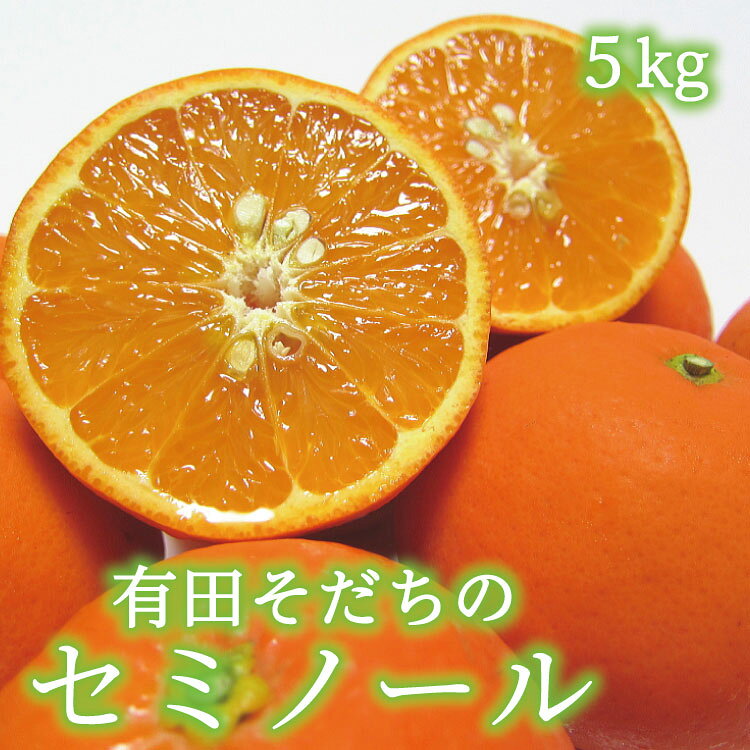 有田育ちの爽快セミノールオレンジ(ご家庭用) 約5kg ※2025年4月上旬〜4月下旬順次発送予定