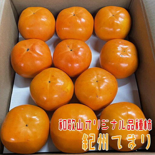 【ふるさと納税】 【秋の美味】【和歌山ブランド】 紀州てまり 22~32玉 【和歌山オリジナル品種柿】 2025年11月上旬~11月下旬頃発送予定【GO-09】 【ふるさと納税】 【秋の美味】【和歌山ブランド】 紀州てまり 22~32玉 【和歌山オリジナル品種柿】 2025年11月上旬~11月下旬頃発送予定【GO-09】