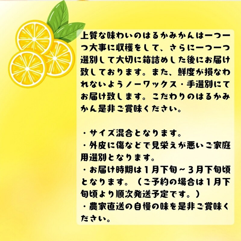 【ふるさと納税】 ＜1月下旬〜＞【先行予約】【人気柑橘】有田育ちの はるか みか...
