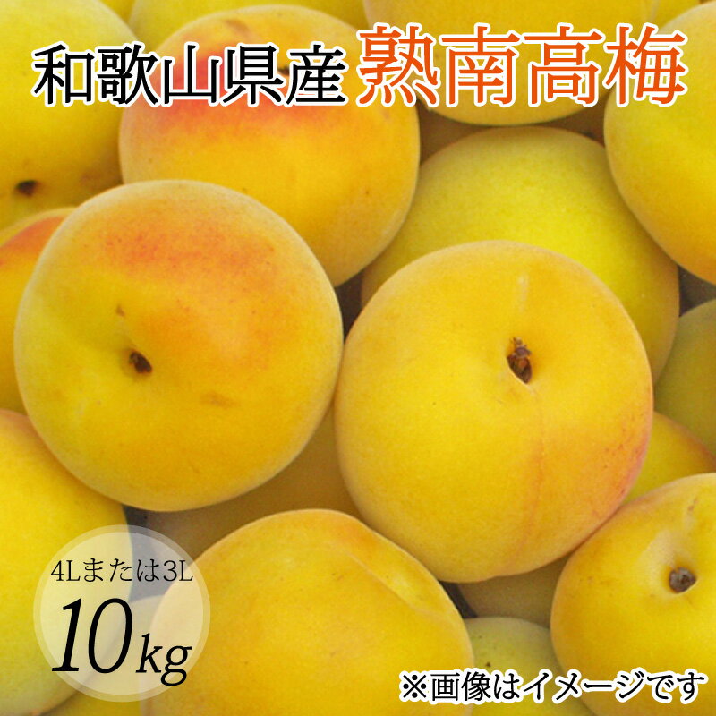 【ふるさと納税】 【梅干・梅酒用】(4Lまたは3L−10kg)熟南高梅<2025年6月上旬〜7月上旬ごろに順次発送予定>(お届け日指定不可)