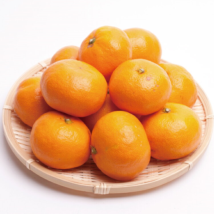 【ふるさと納税】 厳選 完熟有田みかん3kg+90g（傷み補償分）【光センサー選別】＜2023年11月〜2024年1月下旬ごろ順次発送＞