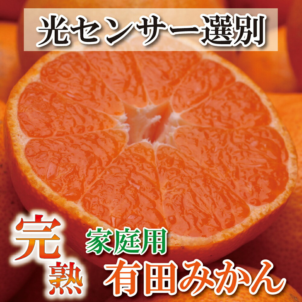 家庭用 完熟有田みかん 2.5kg+75g(傷み補償分) / 4kg+120g(傷み補償分) / 5kg+150g(傷み補償分) / 7kg+210g(傷み補償分) / 10kg+300g(傷み補償分) 【わけあり・訳あり】【光センサー選果】 ＜2024年11月中頃〜2025年1月下旬ごろ順次発送＞