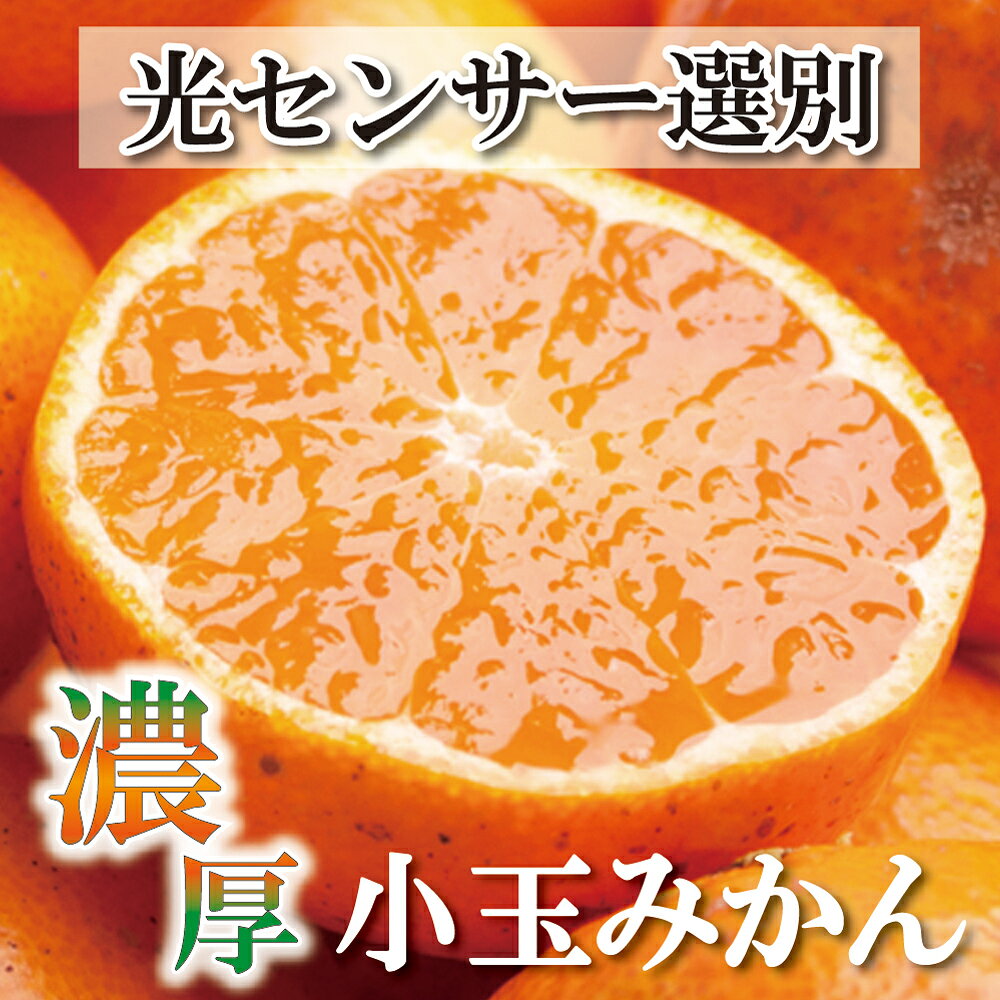家庭用 小玉な有田みかん4kg+120g（傷み補償分）【わけあり・訳あり】【光センサー選果】 ＜2023年11月中旬〜2024年1月下旬ごろ順次発送＞
