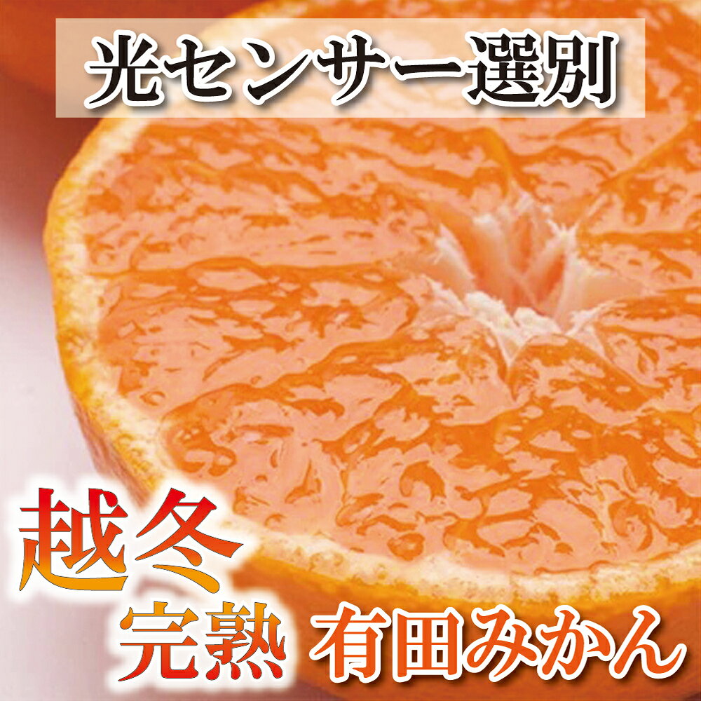 【ふるさと納税】 家庭用 越冬完熟みかん2kg+60g（傷み補償分）【ハウスみかん】【わけあり・訳あり】【光センサー選別】 ＜2024年1月中旬〜2月下旬ごろに順次発送＞