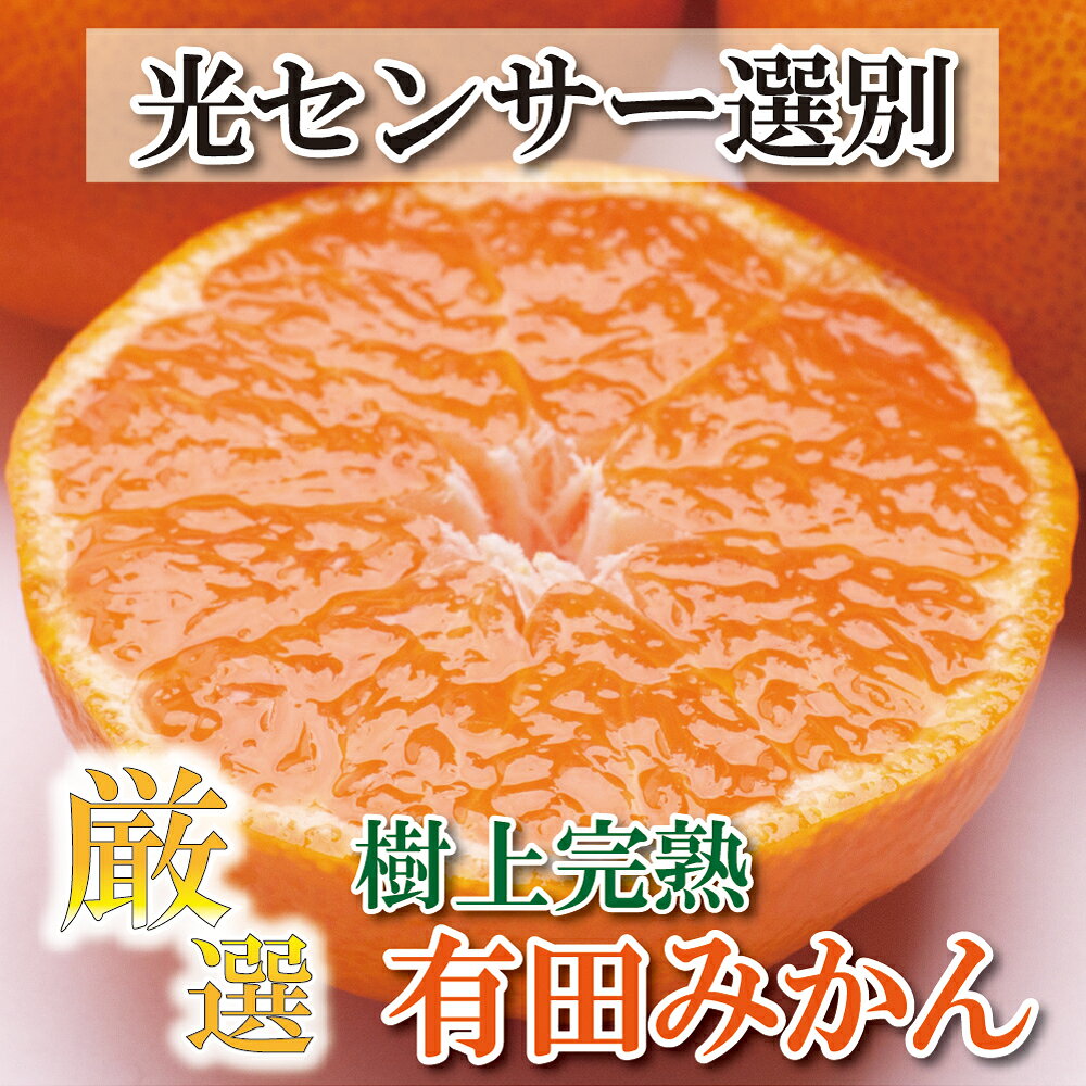 厳選 完熟有田みかん6.5kg+195g（傷み補償分）【光センサー選別】＜2023年11月中旬〜2024年1月下旬ごろに順次発送＞