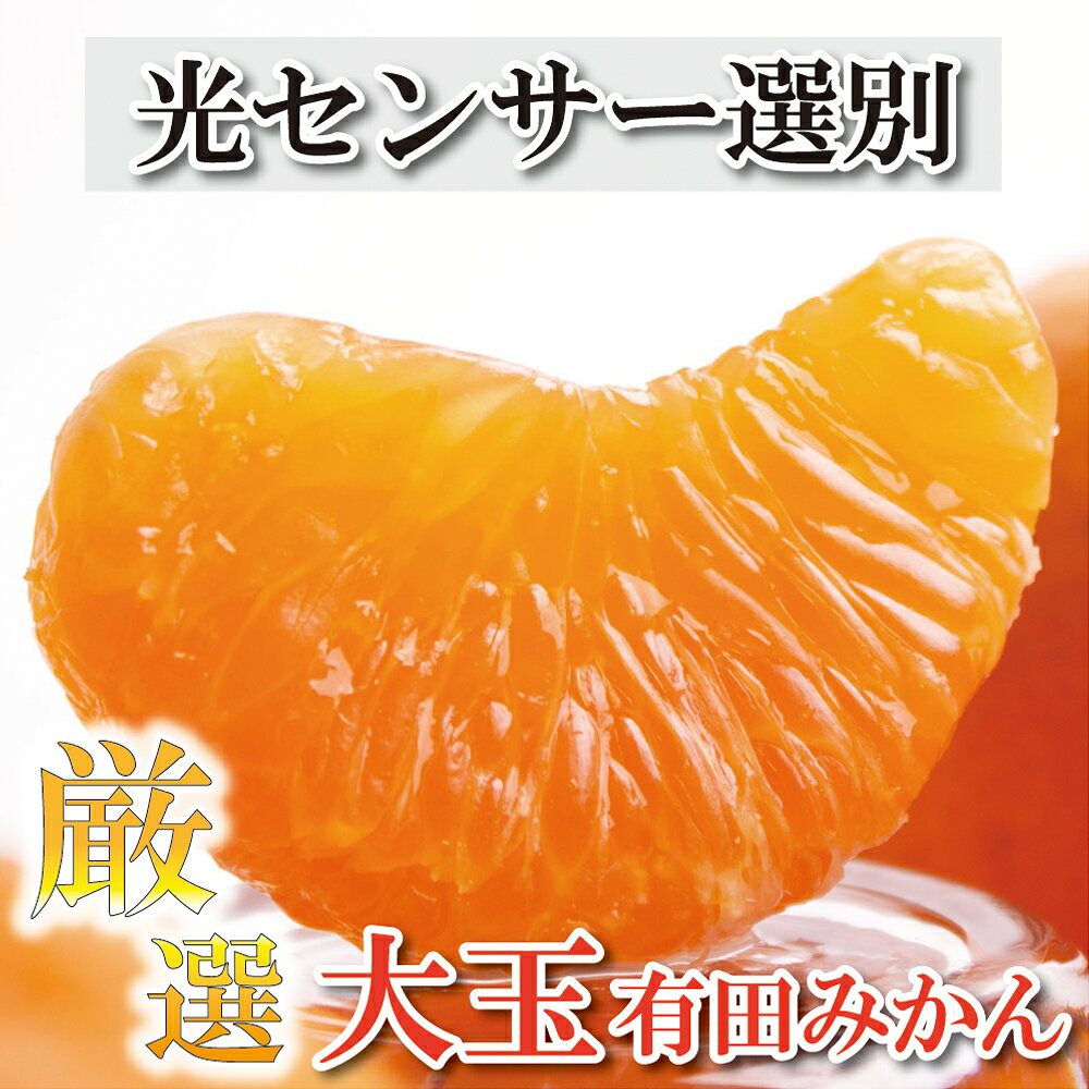 厳選 大きな有田みかん8.5kg+255g（傷み補償分）【光センサー選果】 ＜2023年11月中旬〜2024年1月下旬ごろに順次発送＞