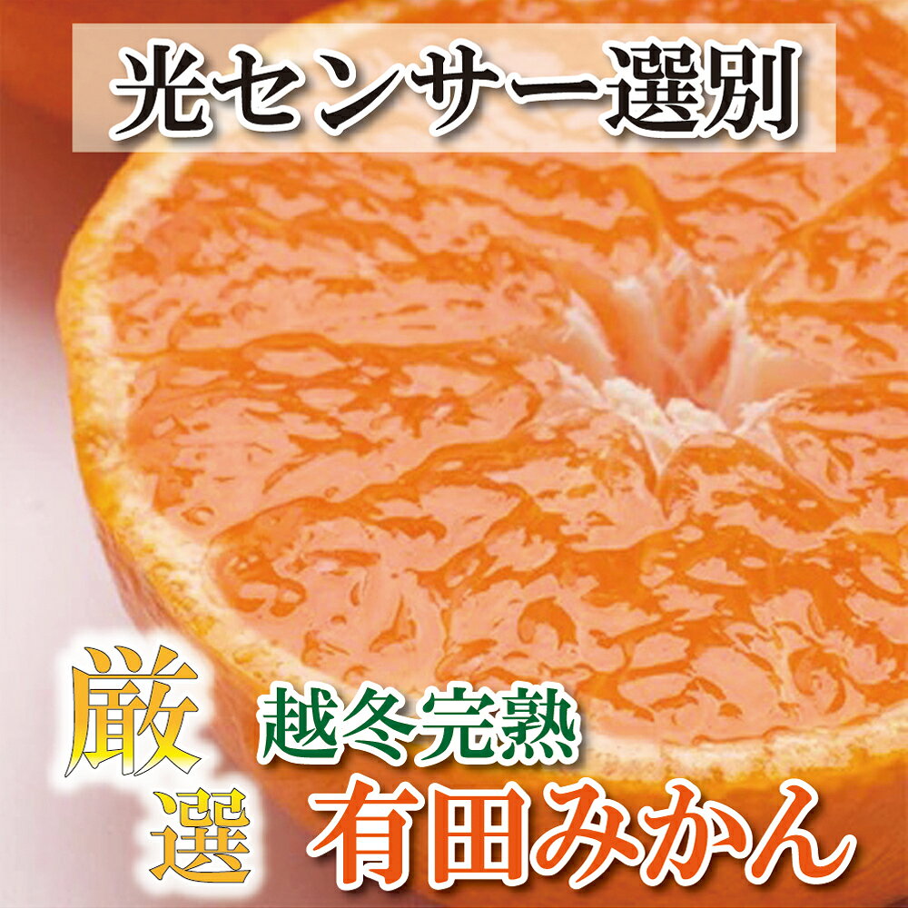 厳選 越冬完熟みかん 1.5kg+45g(傷み補償分) / 3kg+90g(傷み補償分) / 5kg+150g(傷み補償分) 【ハウスみかん】【光センサー選別】＜2025年1月中旬〜2月下旬ごろに順次発送＞