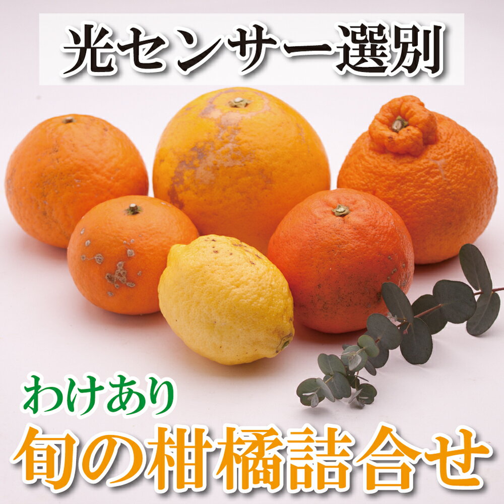 【ふるさと納税】 家庭用旬の柑橘詰合せ3kg+90g（傷み補償分）【訳あり・わけあり】【有田の春みかん詰め合わせ・フルーツ詰め合せ・オレンジつめあわせ】【光センサー選別】＜2023年1月中旬〜4月下旬ごろに順次発送＞のサムネイル