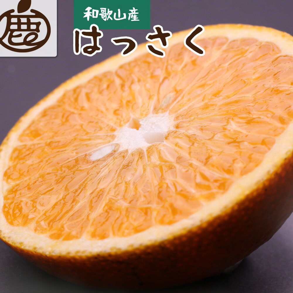 ＜先行予約＞厳選はっさく10kg+300g（傷み補償分）【八朔みかん・ハッサク】 ＜2024年1月上旬頃〜2024年4月上旬ごろに順次発送＞