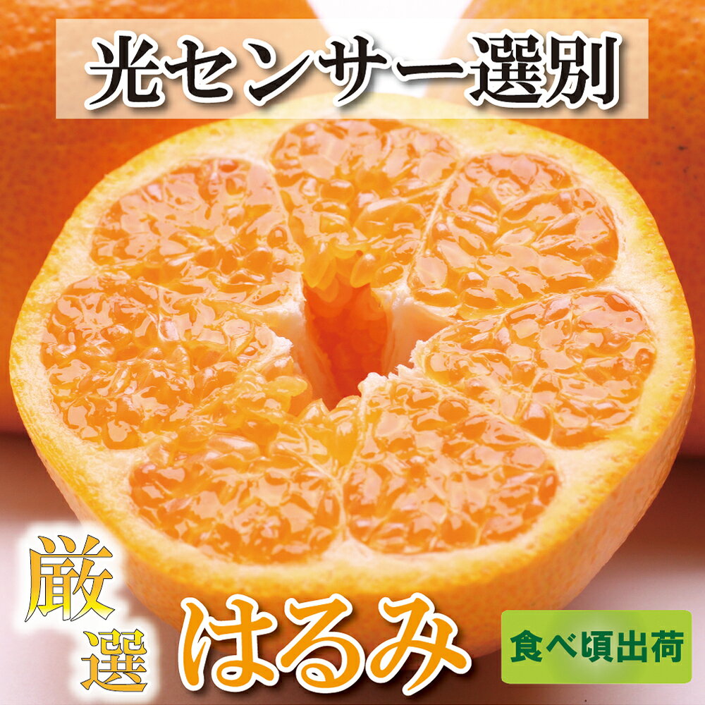 ＜先行予約＞厳選はるみ2kg+60g（傷み補償分）【デコポンの姉妹品種・新食感春みかん】【光センサー選別】 ＜2024年2月上旬〜3月下旬ごろに順次発送＞