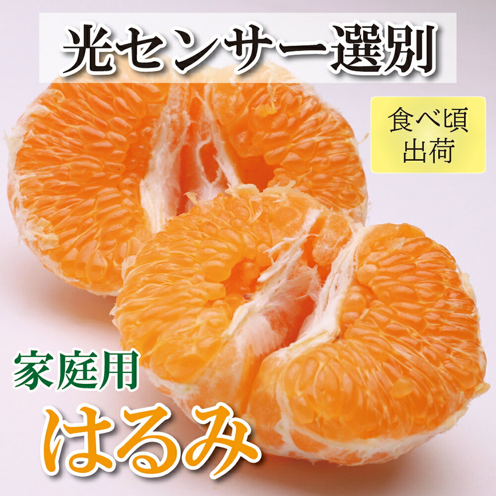 ＜先行予約＞家庭用はるみ2.5kg+75g（傷み補償分）【デコポンの姉妹品種・新食感春みかん】【光センサー選別】【わけあり・訳あり】 ＜2024年2月上旬〜3月下旬ごろに順次発送＞