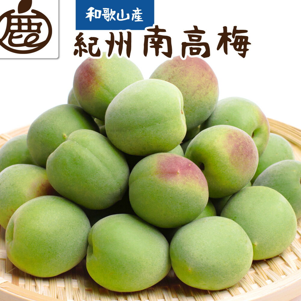 【ふるさと納税】＜6月発送＞厳選 紀州南高梅(青梅)2.5kg+75g（傷み補償分）【朝摘み・とれたて直送便】【梅干し・梅酒・梅ジュース】【和歌山産】のサムネイル