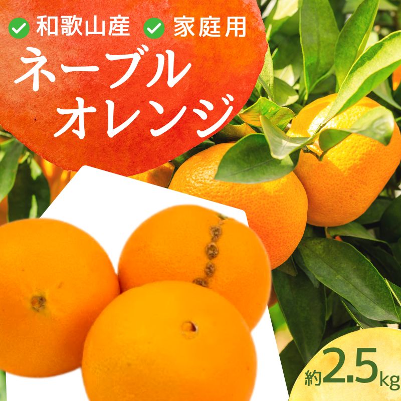 家庭用 ネーブルオレンジ 2.5kg+75g（傷み補償分）【訳あり・わけあり】【光センサー選別】 / ネーブル オレンジ ＜2025年2月上旬頃〜2月下旬ごろに順次発送＞