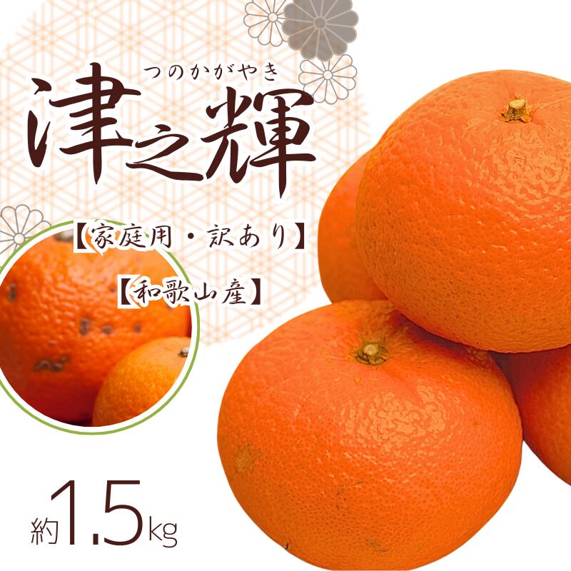 家庭用 津之輝 1.5kg+45g（傷み補償分）つのかがやき【わけあり・訳あり】【光センサー選別】＜2025年2月上旬頃〜4月上旬ごろに順次発送＞