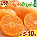 【ふるさと納税】 【訳あり】農家直送 有田みかん 約5kg 約7.5kg 約10kg ※2025年11月中旬から1月中旬までに順次発送予定(お届け日指定不可)】...