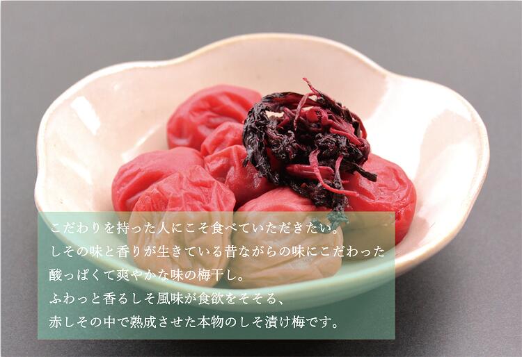 【ふるさと納税】 【贈答用】最高級紀州南高梅大粒・しそ梅干し 1kg【化粧箱タイプ】 ギフト